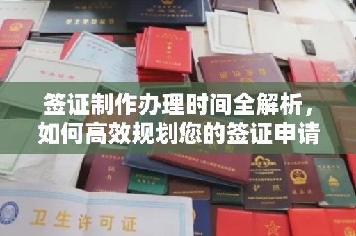 树林签证制作办理时间全解析，如何高效规划您的签证申请流程
