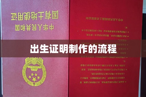 树林出生证明制作的流程