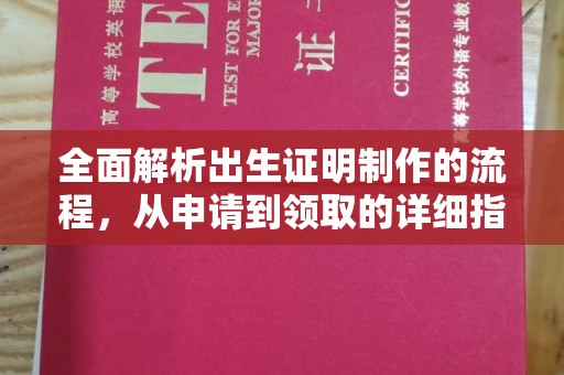 树林全面解析出生证明制作的流程，从申请到领取的详细指南