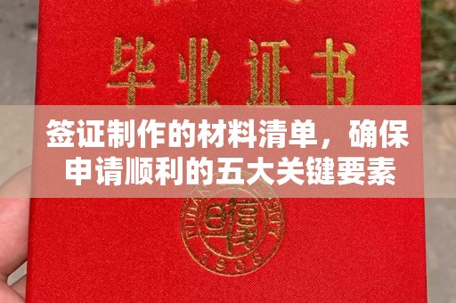 树林签证制作的材料清单，确保申请顺利的五大关键要素