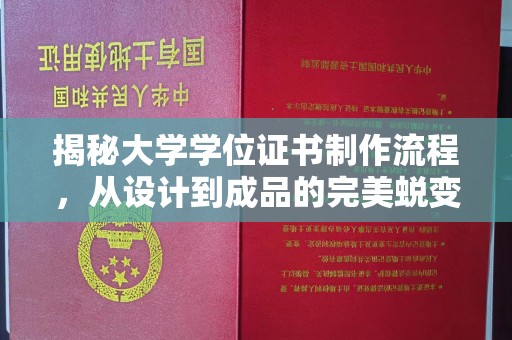 树林揭秘大学学位证书制作流程，从设计到成品的完美蜕变