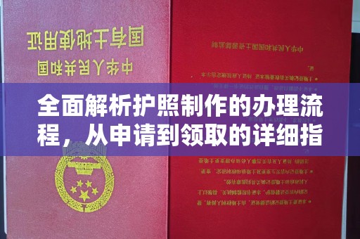 树林全面解析护照制作的办理流程，从申请到领取的详细指南