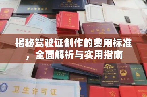 树林揭秘驾驶证制作的费用标准，全面解析与实用指南