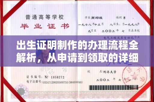 树林出生证明制作的办理流程全解析，从申请到领取的详细指南