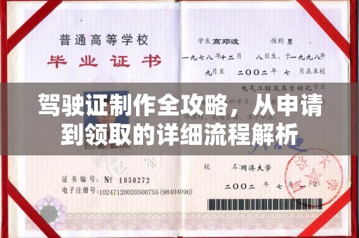树林驾驶证制作全攻略，从申请到领取的详细流程解析